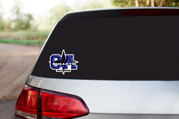 Car Decal - Vinyl (Non-Bling)